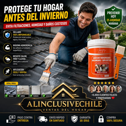 Sellador Transparente Impermeable 1 kg + Brocha